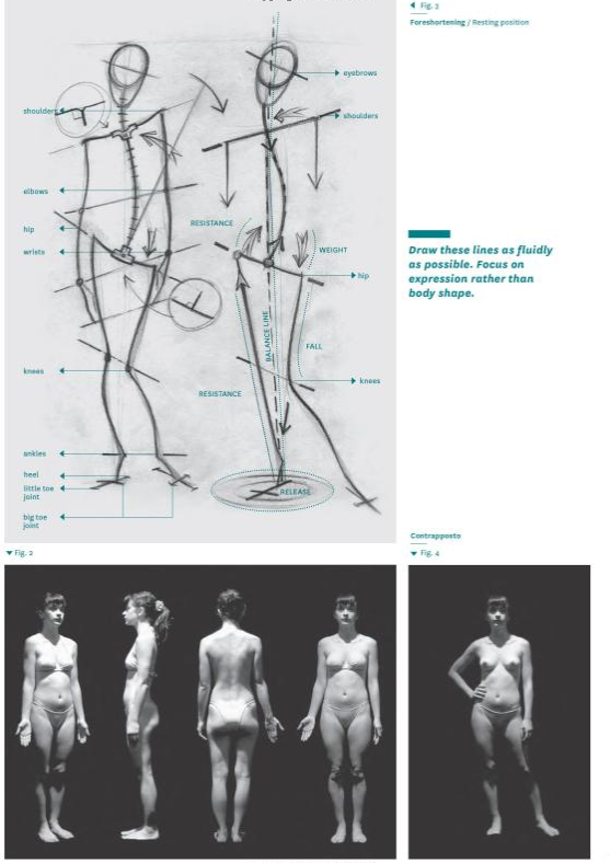 Fashion Drawing Course: From Human Figure to Fashion Illustration fvdesign.org